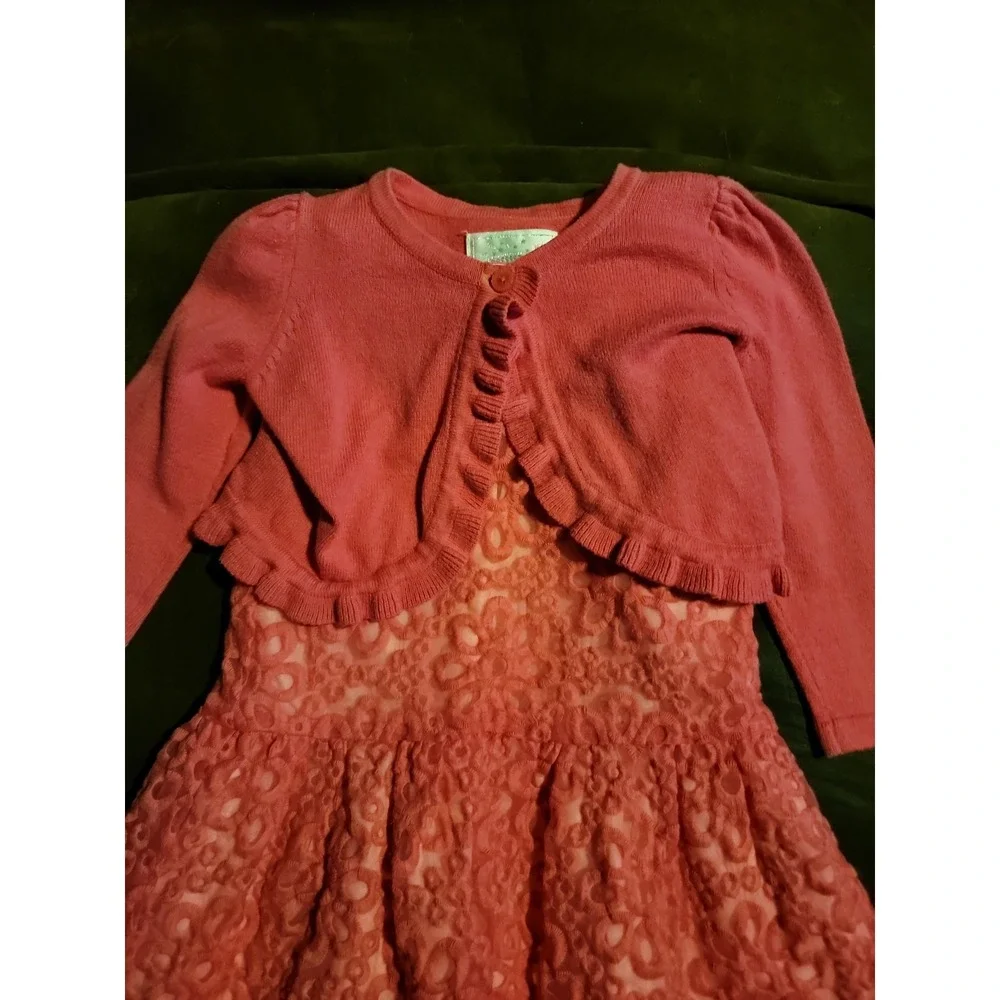 Dressed up by Gymboree egg hunt spring Easter dress size‎ 12 18 months sweater